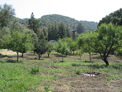 North Orchard North Orchard