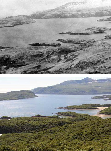 two photos of a large bay with and without ash cover two photos of a large bay with and without ash cover