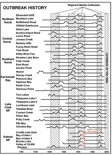 Many stacked lines displaying regional beetle outbreaks in various Kenai & AK Peninsula sites Many stacked lines displaying regional beetle outbreaks in various Kenai & AK Peninsula sites
