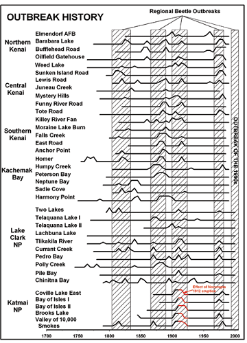 Many stacked lines displaying regional beetle outbreaks in various Kenai & AK Peninsula sites