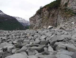 closeup of a rocks with a mountain in the background