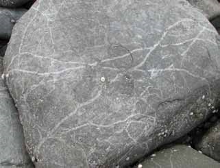 closeup of a rock with white lines crisscrossing the surface closeup of a rock with white lines crisscrossing the surface