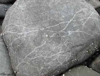 closeup of a rock with white lines crisscrossing the surface