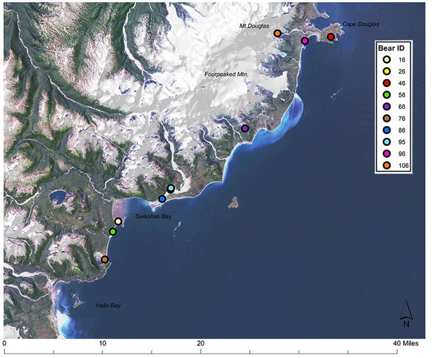 map of the coast of alaska with nine spaced out dots indicating bear capture locations map of the coast of alaska with nine spaced out dots indicating bear capture locations