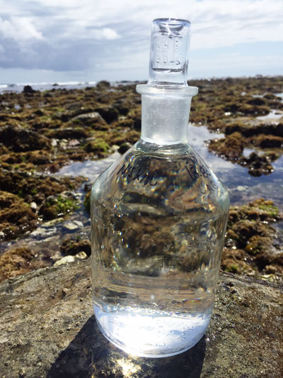 A bottle of freshly collected intertidal seawater sits on a sunny, intertidal rock in Cabrillo NM.
