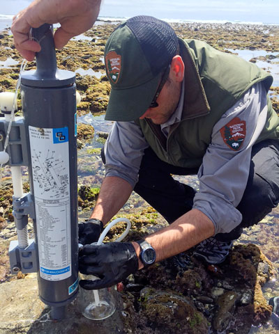 Coastal ecologist using equipment to extract an intertidal water sample from a bottle.