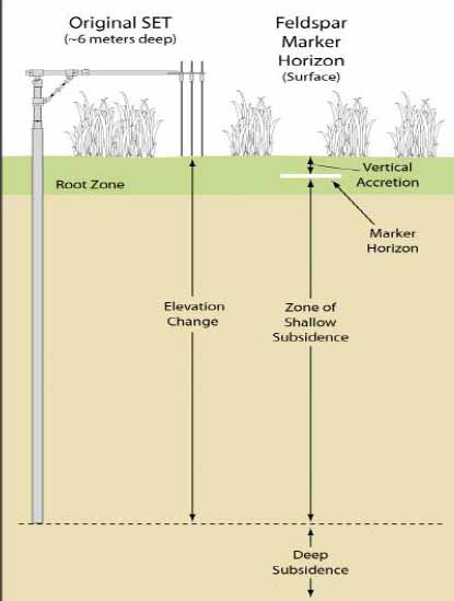 graph depicting marsh monitoring equipment set up 