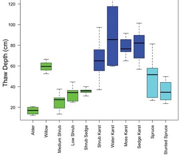 box and whisker plots shows thermokarst landcover class has the deepest thaw depth box and whisker plots shows thermokarst landcover class has the deepest thaw depth