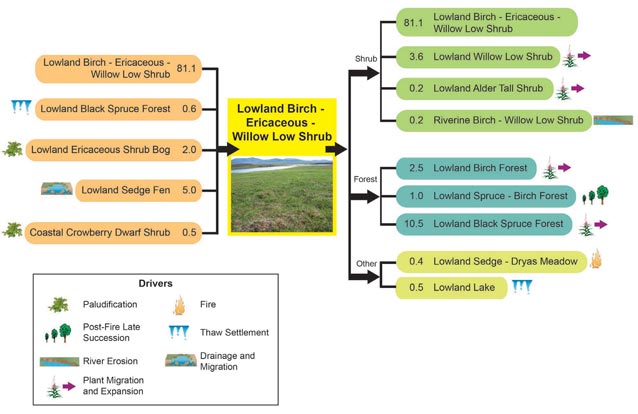 a multi-colored flow chart of ecotype changes predicted