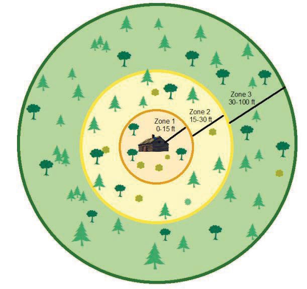 a diagram showing the recommended distance of tree clearing around cabins a diagram showing the recommended distance of tree clearing around cabins