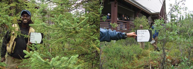 two images, one of a man in a dense forest, another of a less dense forest and building