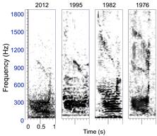 chart showing "whup" whale call data from different years