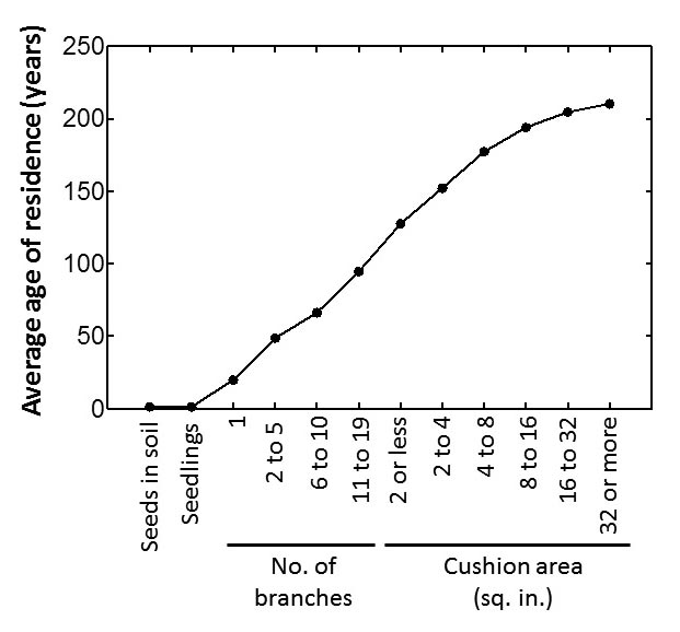 a line chart 