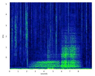 sample spectrogram graph of acoustic data