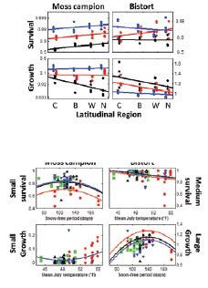 a series of line charts