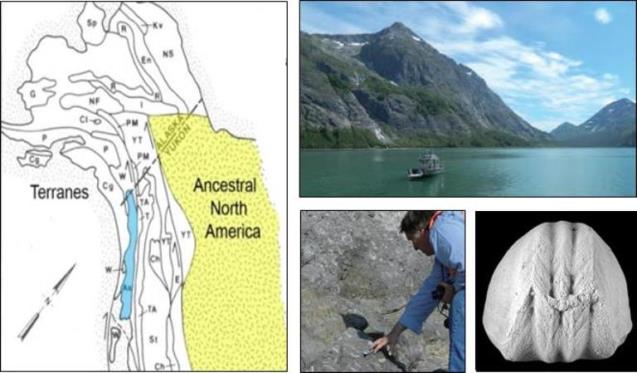 map of alaska, mountain, bivalve fossil, paleontologist