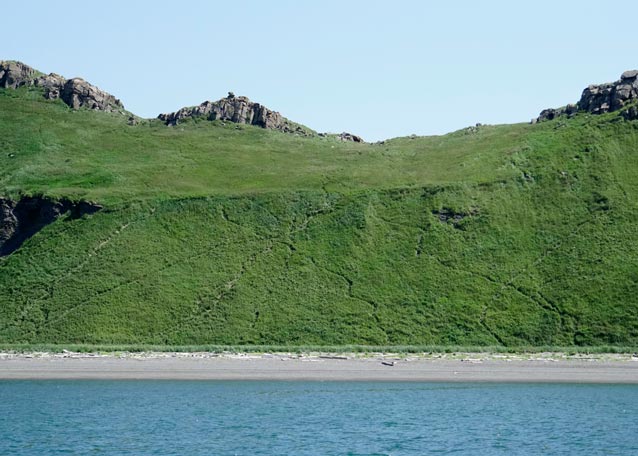 a green hillside with numerous animal trails visible leading down to a beach a green hillside with numerous animal trails visible leading down to a beach