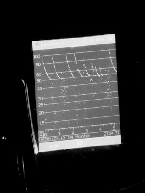 A audio detector shows spectrograms—visual frequencies of the bats' echolocation calls.