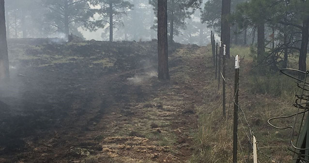 The burned area stops within the park, right next to a fence at the park boundary. The burned area stops within the park, right next to a fence at the park boundary.