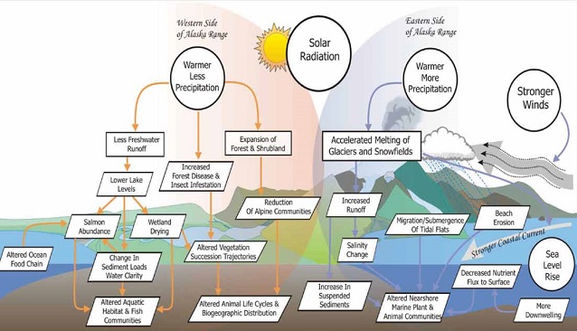 visual graphic showing the effects of a warming climate in southeastern Alaska