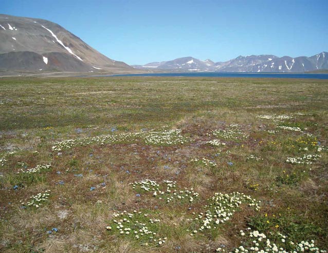 a tree-less plain leading up to short mountains