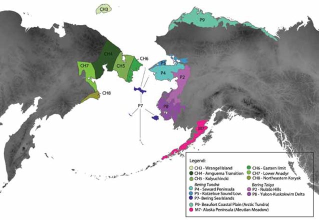 map of alaska and siberia with colors indicating geographic areas