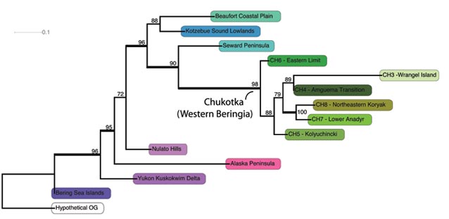 a multi-colored flow chart