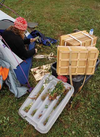 a woman sitting in a tent looking in large boxes full of plants