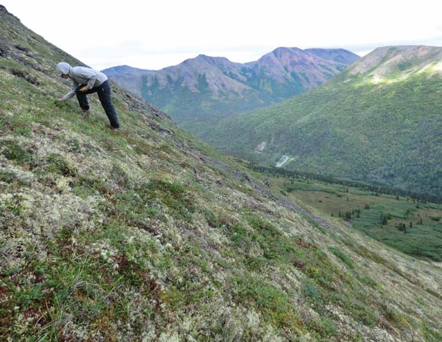 a person on a steep, tree-less hillside