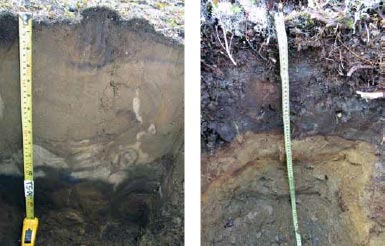 images of tape measures in soil pits
