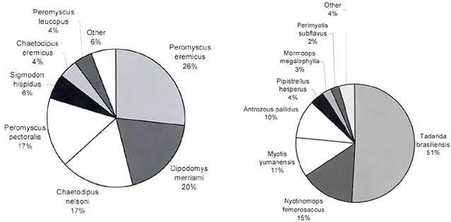 Pie charts of relative abundance of rodents (left) and relative abundance of bat species (right).