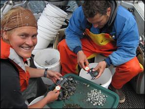 researchers collecting inertibrates researchers collecting inertibrates