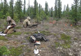 two people sit in a dirt clearing in a spruce forest two people sit in a dirt clearing in a spruce forest