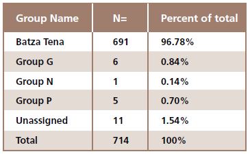 table displaying groups of obsidian and how much was found of each proportionally table displaying groups of obsidian and how much was found of each proportionally