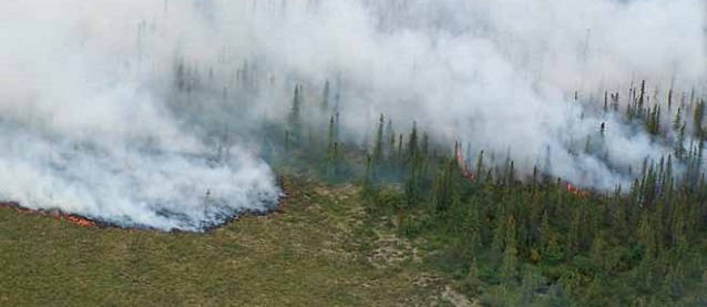 aerial view of a wildland fire in a spruce forest aerial view of a wildland fire in a spruce forest