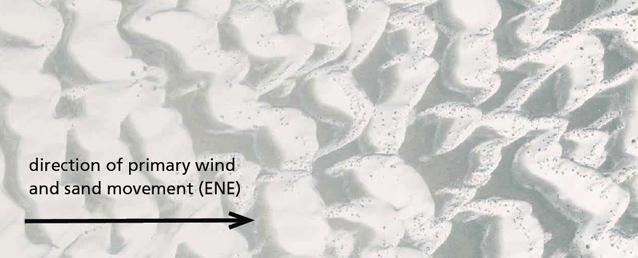 Aerial view of sand dunes where they transition from one shape to another Aerial view of sand dunes where they transition from one shape to another