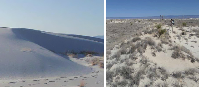 Barchan-shaped dune (left) and parabolic-shaped dune (right) Barchan-shaped dune (left) and parabolic-shaped dune (right)