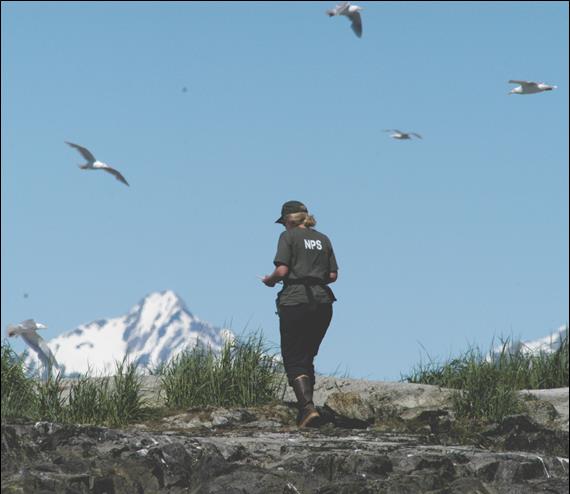 Park researcher on land with birds swirling above