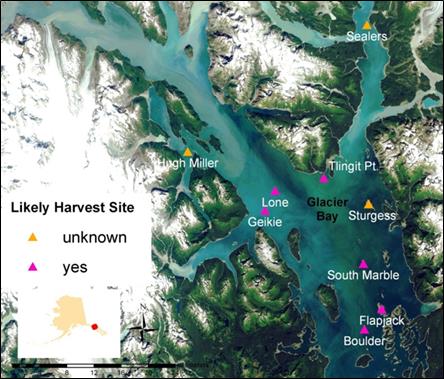 map of Glacier Bay with nest locations