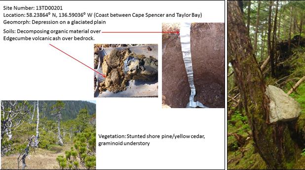 chart identifying vegetation and soil samples