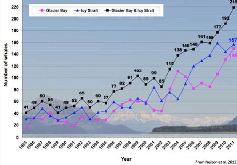 chart showing whale population increase in southeast Alaska