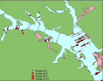 map of survey sites in glacier bay map of survey sites in glacier bay