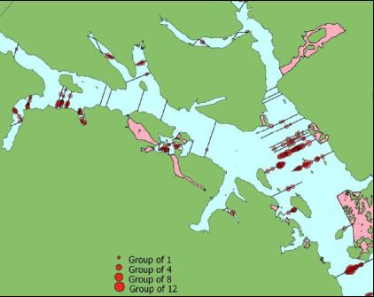 map of survey sites in glacier bay 