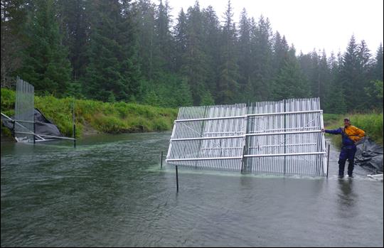 fence in a river to direct fish