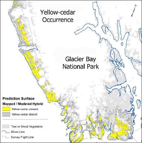 map of yellow cedar in glacier bay