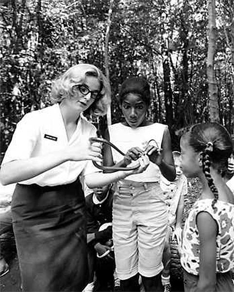 Ranger Susan shows a snake to day campers Ranger Susan shows a snake to day campers
