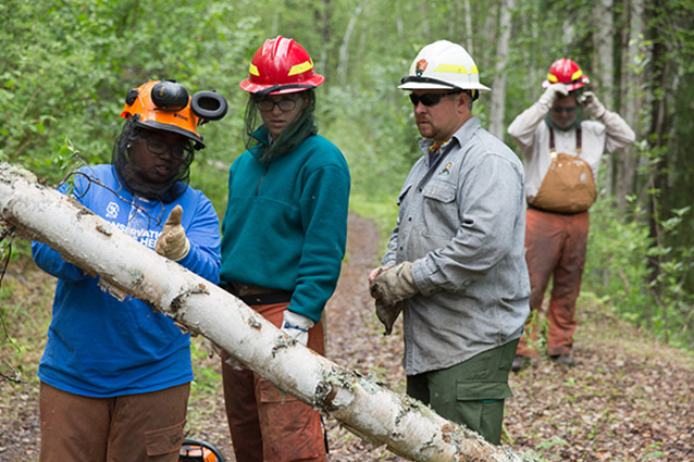 Three people examine a fallen tree snag