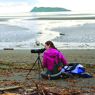 Researcher looking through scope on beach