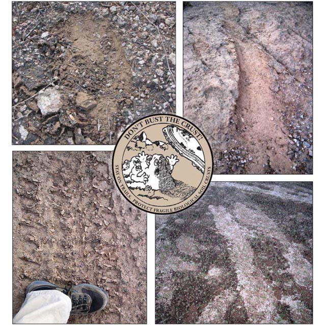 Four images of biological soil crust damage with a 