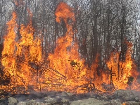 Fire at Jerktail Mountain prescribed burn, 2015